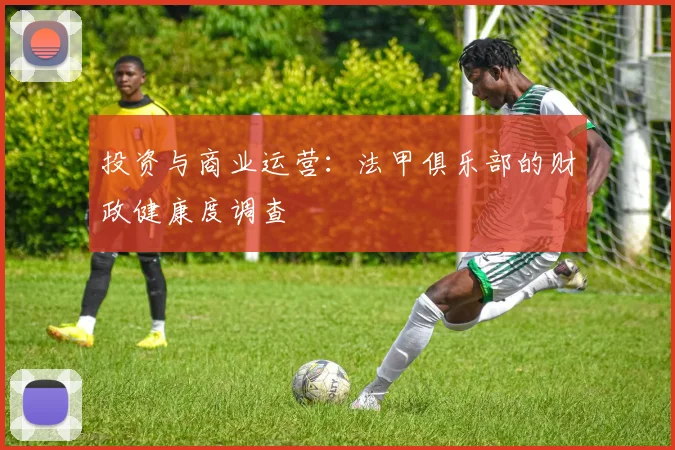 投资与商业运营：法甲俱乐部的财政健康度调查
